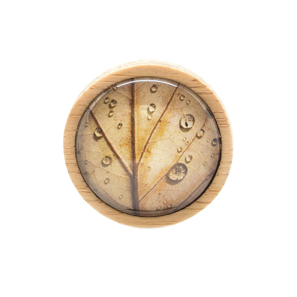 Autumn Leaf - Tasmanian Handmade Brooch - Myrtle & Me