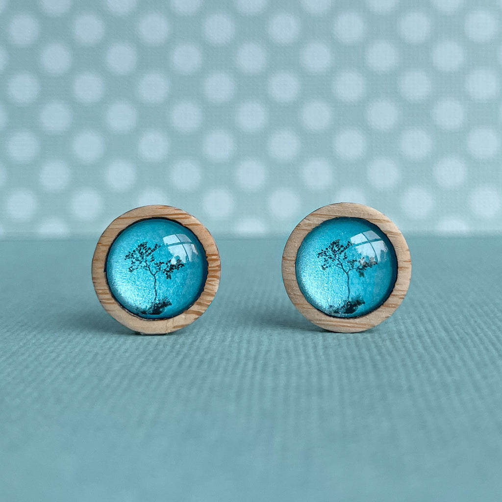 Blue Myrtle Tree Wooden Stud Earrings - Handmade In Tasmania