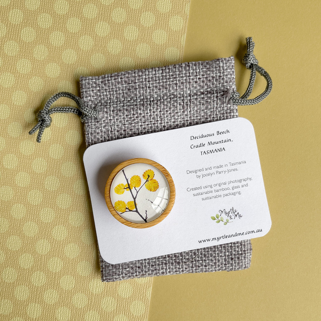Fagus - Deciduous Beech - Tasmanian Made Brooch