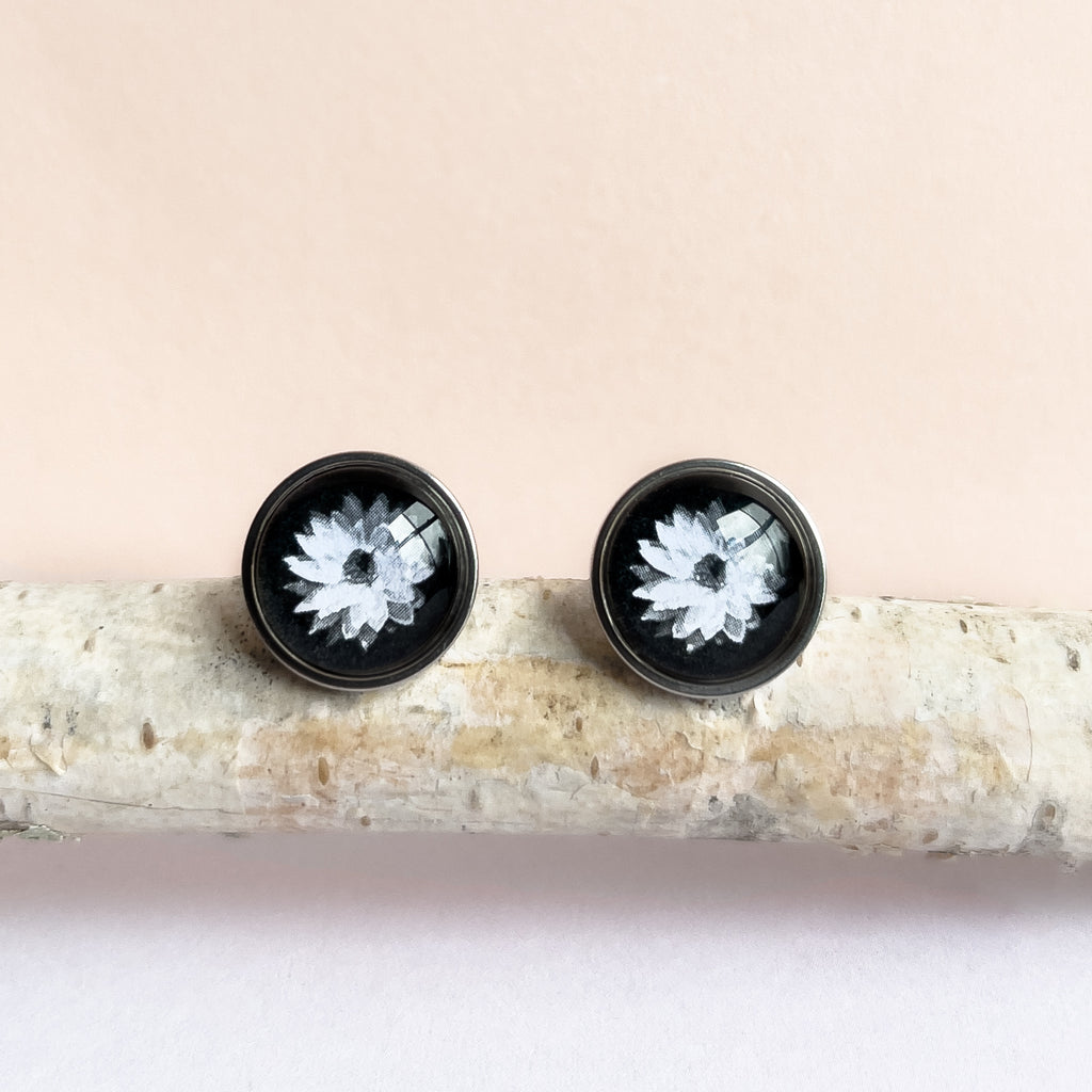Everlasting Daisy Stud Earrings - Australian Wildflower Jewellery - Handmade - Myrtle & Me