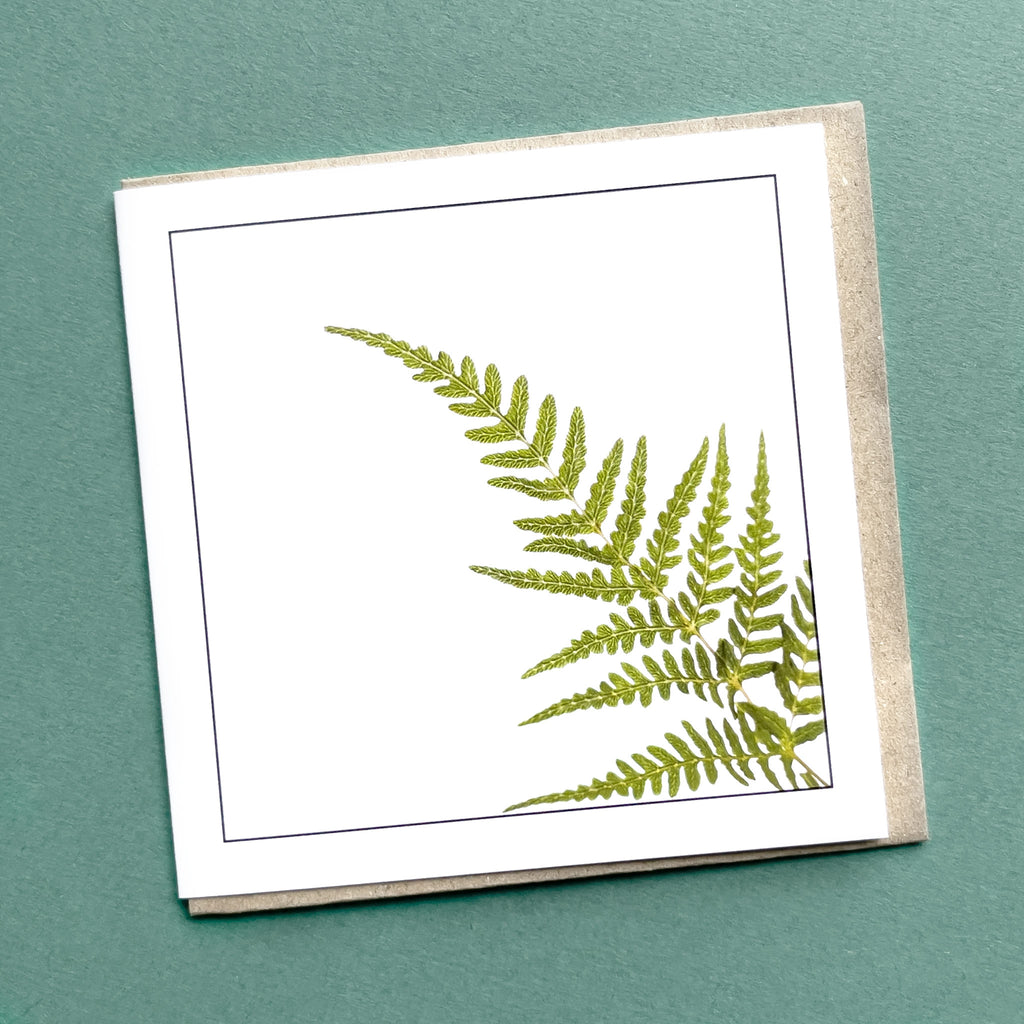 Tasmanian Fern Greeting Card - Australian Nature Photography