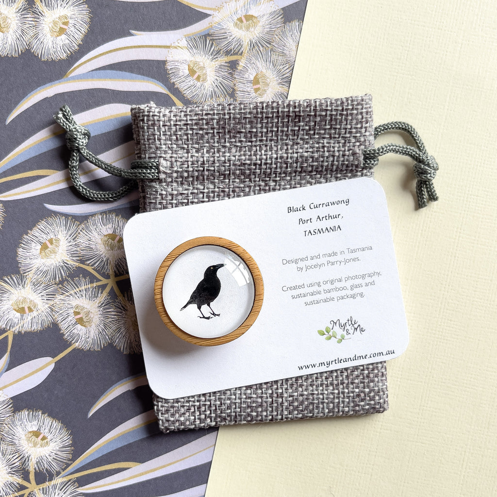 Black Currawong Tasmanian Bird Brooch - Handmade Nature Jewellery - Myrtle and Me