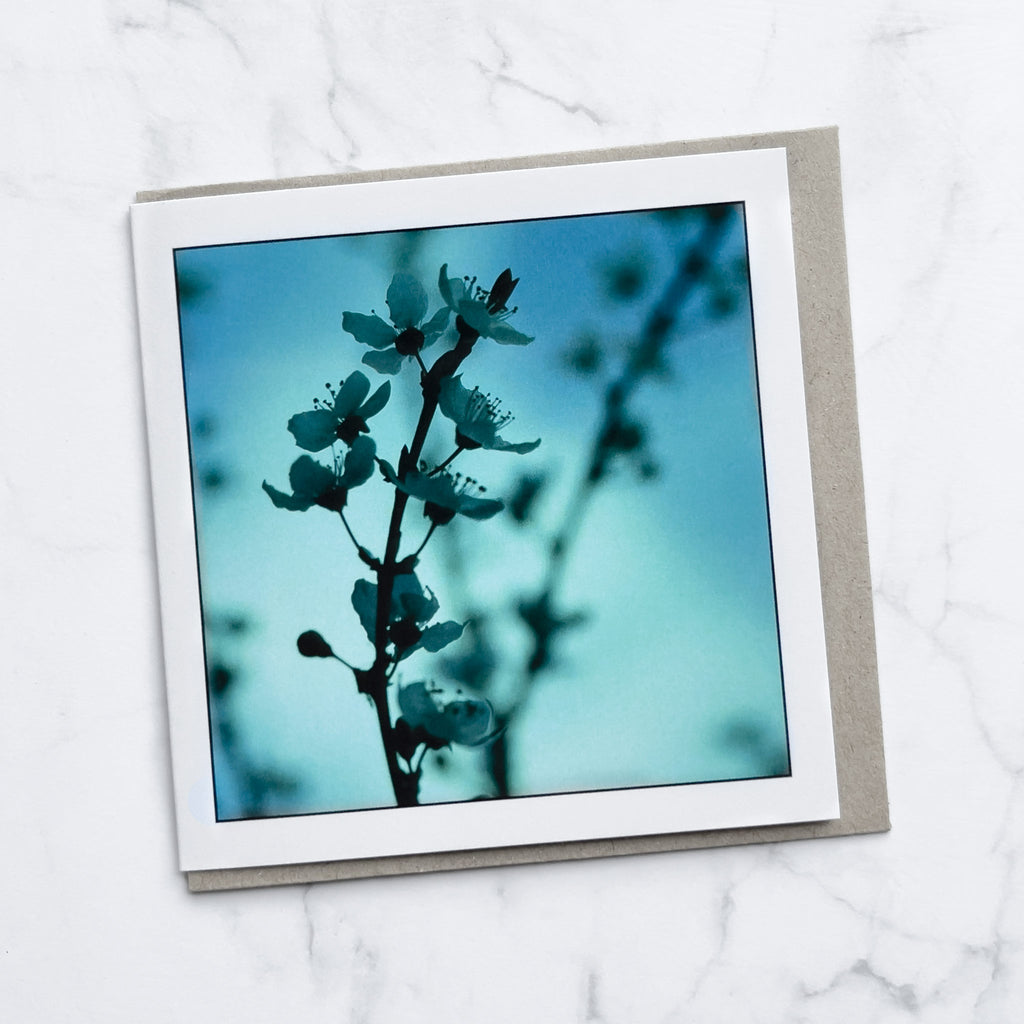 Blue Blossom Greeting Card - Tasmanian Small Business - Myrtle and Me