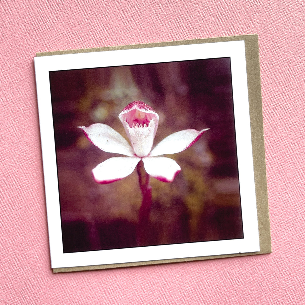 Alpine Finger Orchid - Tasmanian Handmade Nature Photography - Myrtle and Me